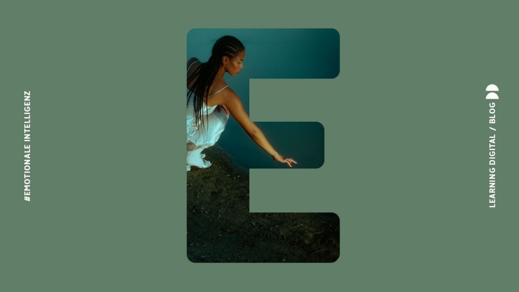 Emotionale Intelligenz wirtschaftsenglisch
